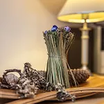 Genusshof Mesner Aktiv Apartman Liesing