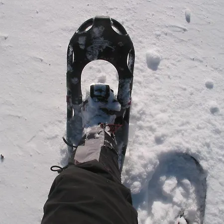 Genusshof Mesner Aktiv Διαμέρισμα