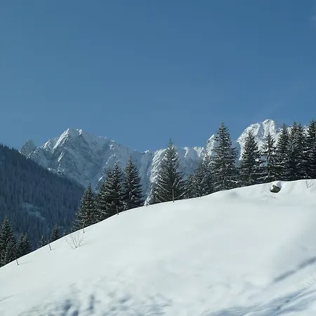 Genusshof Mesner Aktiv *